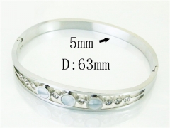 HY Wholesale Bangles Stainless Steel 316L Fashion Bangle-HY32B0505HJD