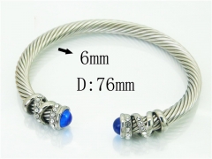 HY Wholesale Bangles Stainless Steel 316L Fashion Bangle-HY38B0771IHR