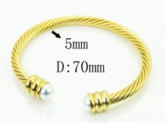 HY Wholesale Bangles Stainless Steel 316L Fashion Bangle-HY38B0849HMY