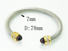 HY Wholesale Bangles Stainless Steel 316L Fashion Bangle-HY38B0810IJW