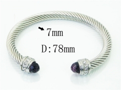 HY Wholesale Bangles Stainless Steel 316L Fashion Bangle-HY38B0803IIW