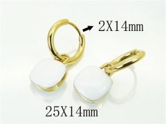 HY Wholesale Earrings 316L Stainless Steel Earrings-HY32E0238HIF