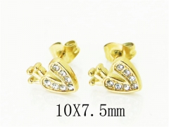 HY Wholesale Earrings 316L Stainless Steel Earrings-HY12E0230IR