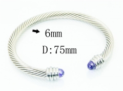 HY Wholesale Bangles Stainless Steel 316L Fashion Bangle-HY38B0854HLR