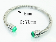 HY Wholesale Bangles Stainless Steel 316L Fashion Bangle-HY38B0836HLW