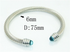 HY Wholesale Bangles Stainless Steel 316L Fashion Bangle-HY38B0853HLD