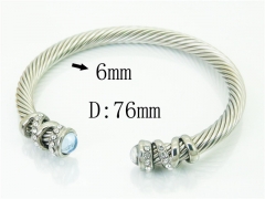 HY Wholesale Bangles Stainless Steel 316L Fashion Bangle-HY38B0769IHR