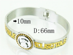 HY Wholesale Bangles Stainless Steel 316L Fashion Bangle-HY64B1522HLC