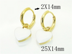 HY Wholesale Earrings 316L Stainless Steel Earrings-HY32E0240HIS