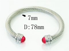 HY Wholesale Bangles Stainless Steel 316L Fashion Bangle-HY38B0806IIF