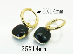 HY Wholesale Earrings 316L Stainless Steel Earrings-HY32E0237HIC