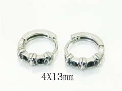 HY Wholesale Earrings Jewelry 316L Stainless Steel Earrings-HY31E0111PR