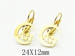 HY Wholesale Earrings Jewelry 316L Stainless Steel Earrings-HY91E0422KG