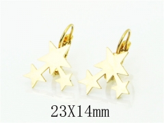 HY Wholesale Earrings Jewelry 316L Stainless Steel Earrings-HY91E0428KT