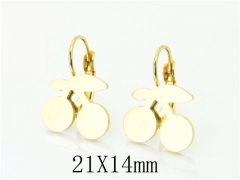 HY Wholesale Earrings Jewelry 316L Stainless Steel Earrings-HY91E0418KC