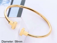 HY Wholesale Bangle Stainless Steel 316L Jewelry Bangle-HY0033B020