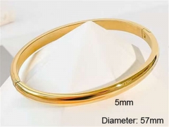 HY Wholesale Bangle Stainless Steel 316L Jewelry Bangle-HY0123B104
