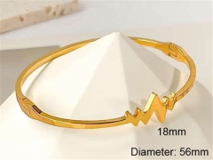 HY Wholesale Bangle Stainless Steel 316L Jewelry Bangle-HY0123B167