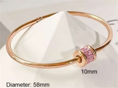 HY Wholesale Bangle Stainless Steel 316L Jewelry Bangle-HY0123B109
