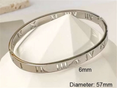 HY Wholesale Bangle Stainless Steel 316L Jewelry Bangle-HY0123B139