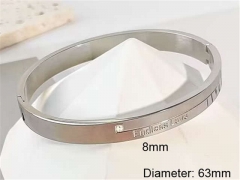 HY Wholesale Bangle Stainless Steel 316L Jewelry Bangle-HY0123B082