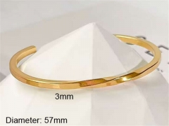 HY Wholesale Bangle Stainless Steel 316L Jewelry Bangle-HY0123B183