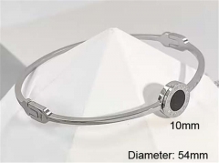 HY Wholesale Bangle Stainless Steel 316L Jewelry Bangle-HY0123B066