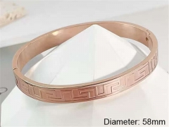 HY Wholesale Bangle Stainless Steel 316L Jewelry Bangle-HY0123B166