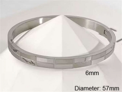 HY Wholesale Bangle Stainless Steel 316L Jewelry Bangle-HY0123B102