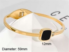 HY Wholesale Bangle Stainless Steel 316L Jewelry Bangle-HY0123B194