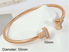 HY Wholesale Bangle Stainless Steel 316L Jewelry Bangle-HY0123B077