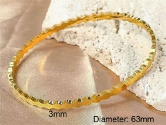 HY Wholesale Bangle Stainless Steel 316L Jewelry Bangle-HY0123B002