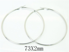 HY Wholesale Earrings 316L Stainless Steel Earrings-HY58E1753HL