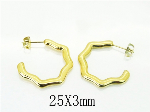 HY Wholesale Earrings 316L Stainless Steel Earrings-HY32E0273HAA