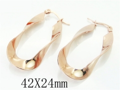 HY Wholesale Earrings 316L Stainless Steel Earrings-HY58E1770LL