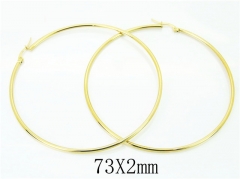 HY Wholesale Earrings 316L Stainless Steel Earrings-HY58E1747IQ
