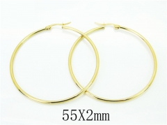 HY Wholesale Earrings 316L Stainless Steel Earrings-HY58E1749IG