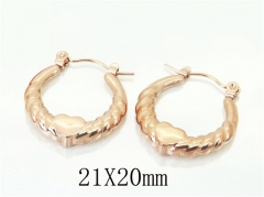 HY Wholesale Earrings 316L Stainless Steel Earrings-HY70E1073LC