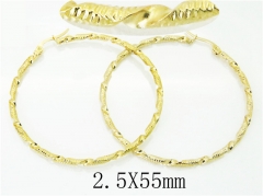 HY Wholesale Earrings 316L Stainless Steel Earrings-HY58E1817IL