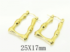 HY Wholesale Earrings 316L Stainless Steel Earrings-HY70E1085LQ