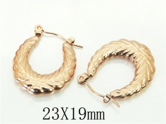HY Wholesale Earrings 316L Stainless Steel Earrings-HY70E1108LZ