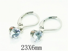 HY Wholesale Earrings 316L Stainless Steel Earrings-HY21E0148IJ