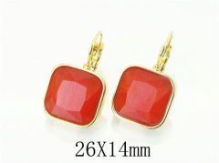 HY Wholesale Earrings 316L Stainless Steel Earrings-HY32E0310HJZ