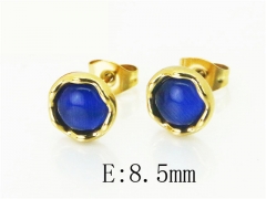 HY Wholesale Earrings 316L Stainless Steel Earrings-HY12E0305JZ
