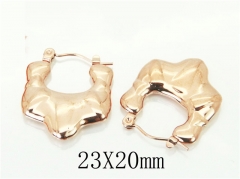 HY Wholesale Earrings 316L Stainless Steel Earrings-HY70E1118LR