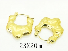 HY Wholesale Earrings 316L Stainless Steel Earrings-HY70E1115LG