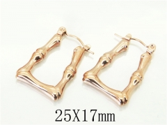 HY Wholesale Earrings 316L Stainless Steel Earrings-HY70E1088LA