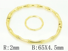 HY Wholesale Bangles Jewelry Stainless Steel 316L Fashion Bangle-HY12B0321HNL