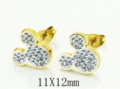 HY Wholesale Earrings 316L Stainless Steel Earrings-HY32E0371NLS