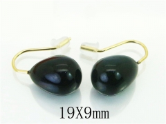 HY Wholesale Earrings 316L Stainless Steel Earrings-HY32E0375H1L